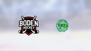 Bodens HF klart för ATG Hockeyettan Finalen efter seger mot Enköping