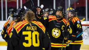 Tungt meriterad back klar för Brynäs