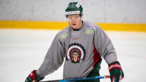 SHL-meriterade backen lånas ut till Hockeyettan