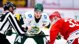 Ettan-klubben nära SHL-meriterat nyförvärv