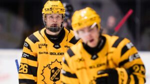 Stortalangen kan få speltid i Hockeyettan