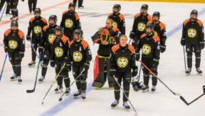 Stark defensiv när Brynäs vann mot AIK