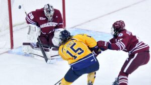 Edmontondraftad kanadensare klar för Västervik: ”En spelskicklig center”