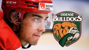 David Karlström klar för spel med Odense Bulldogs