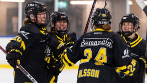 Tuff match slutade med seger för AIK mot HV71