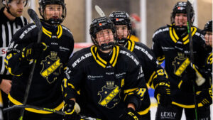 Storseger för AIK borta mot Göteborg HC