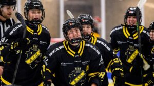 Efter förlustraden: Seger igen för AIK – 6-5 mot Linköping