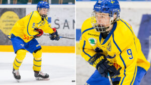 Anton Johannesson får chansen på rookieturnering med Winnipeg