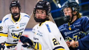 Beskedet: Åtta (!) spelare lämnar HV71