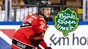 Björklöven lånar in Axl Johansson från Vännäs