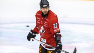 TV: Fyra spelare som överraskat i Hockeyallsvenskan