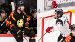 Malmö säkrar SHL-kontraktet – Brynäs åker ner till HockeyAllsvenskan