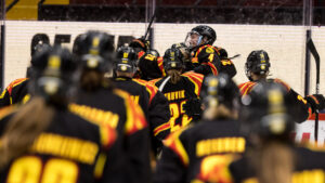 Brynäs har sju raka segrar – vann mot SDE med 6-1