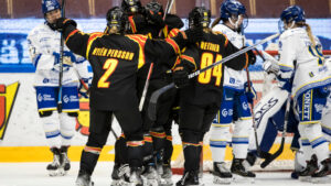 Storpublik väntas i SDHL-mötet mellan Brynäs och Leksand