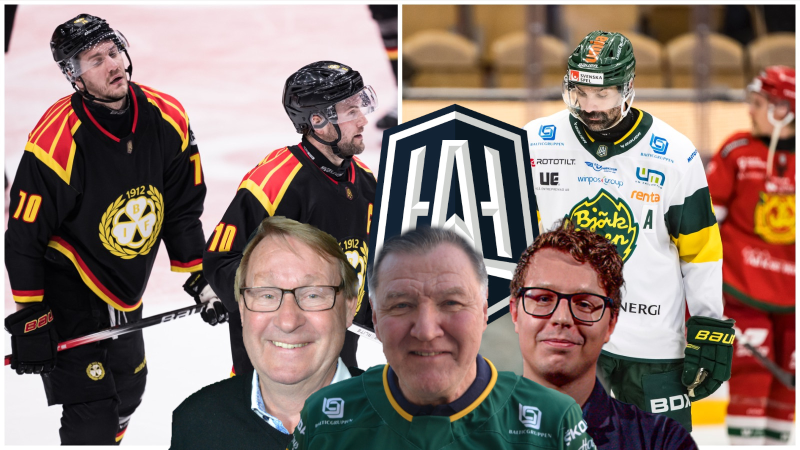 Hockeypanelen om HockeyAllsvenskan: Överraskningarna och besvikelserna