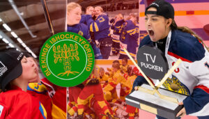 Blekinge – TV-pucken 2023: Kommentarer om ALLA spelare