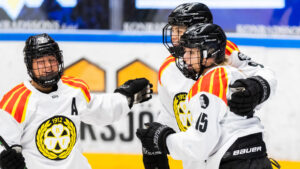 Brynäs vann borta mot Djurgården