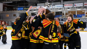 Brynäs vinner guld i U16-SM – efter storseger i finalen