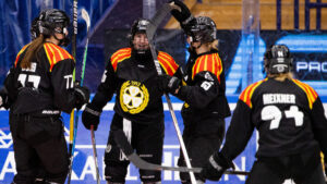 Stark defensiv när Brynäs vann mot Leksand