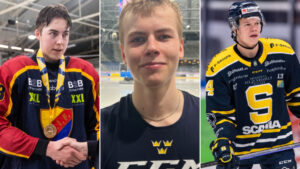 Fem svenskar valda i CHL:s importdraft