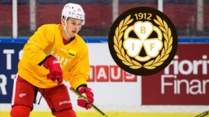 Dmytro Timashov klar för Brynäs