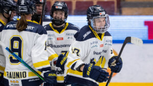 Tuff match slutade med seger för HV 71 mot AIK