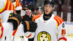 David Sklenicka förlänger med Brynäs: “Älskar klubben”