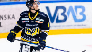 David Ullström lämnar Schwenninger Wild Wings