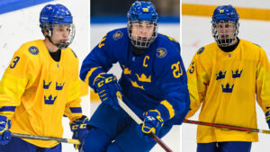 Nio svenskar testas på NHL Draft Combine