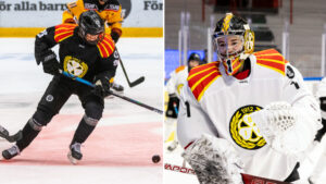 Klart: Duo lämnar Brynäs