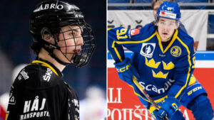 Så högt rankas Leo Carlsson och Dalibor Dvorský inför NHL-draften