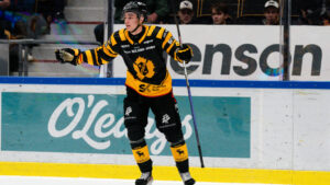 Stark defensiv när Skellefteå vann mot Brynäs