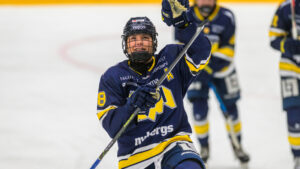 Straffar avgjorde när HV 71 vann mot Linköping