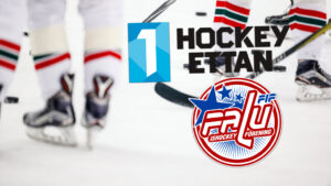 Falu IF erbjuds en plats i Hockeyettan