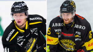 Filip Bratt och Sebastian Vidmar skickas till ECHL