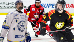 LISTA: Alla gallerspelare i svensk elithockey