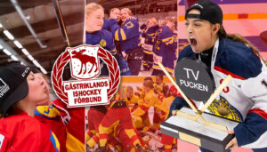 Gästrikland – TV-pucken 2023: Kommentarer om ALLA spelare