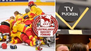 Gästrikland – TV-pucken 2022: Kommentarer om ALLA spelare