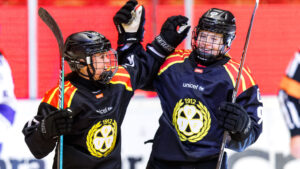 Brynäs klara för SM-final – för andra året i rad