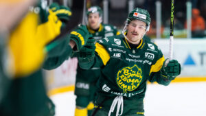 Gerry Fitzgerald lämnar Björklöven