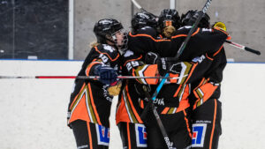 SDHL-klubben värvar från NCAA