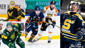 De var bäst och sämst i Hockeyallsvenskan på försäsongen