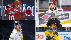 De nomineras till Årets Back i HockeyAllsvenskan