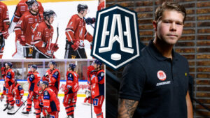 Västervik kan få gratisplats tillbaka i HockeyAllsvenskan – beroende på Vita Hästen