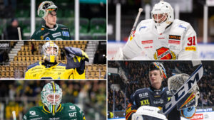 De nomineras till HockeyAllsvenskans bästa målvakt