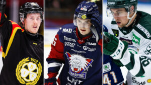 LISTA: Tio spelare i SHL-klubbar intressanta för Hockeyallsvenskan