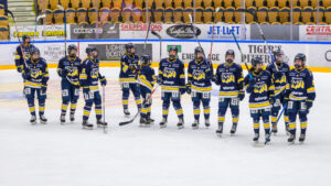 HV71 värvar Thea Liodden från Linköping