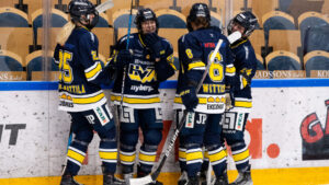 Efterlängtad seger för HV 71 – bröt förlustsviten mot Leksand