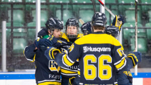 HV71 inleder samarbete med DVTK Jegesmedvek