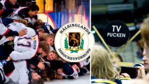 TV-pucken 2022: Hälsingland – kommentarer om ALLA spelare